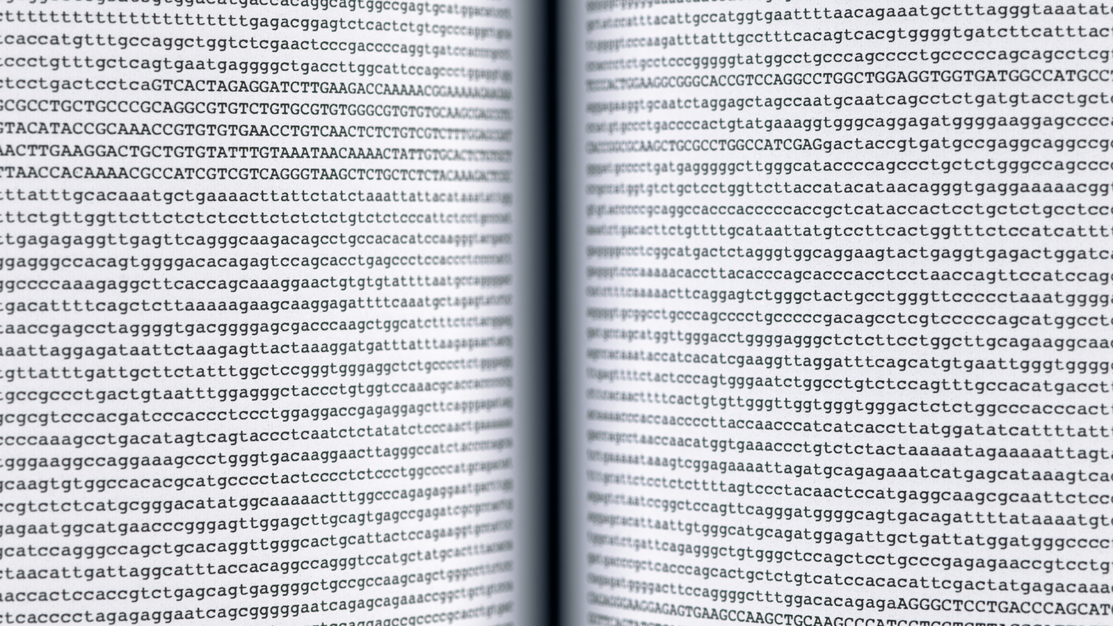 Close-up of a page of the printed human genome: the letters t, a, g and c repeated in tiny type.